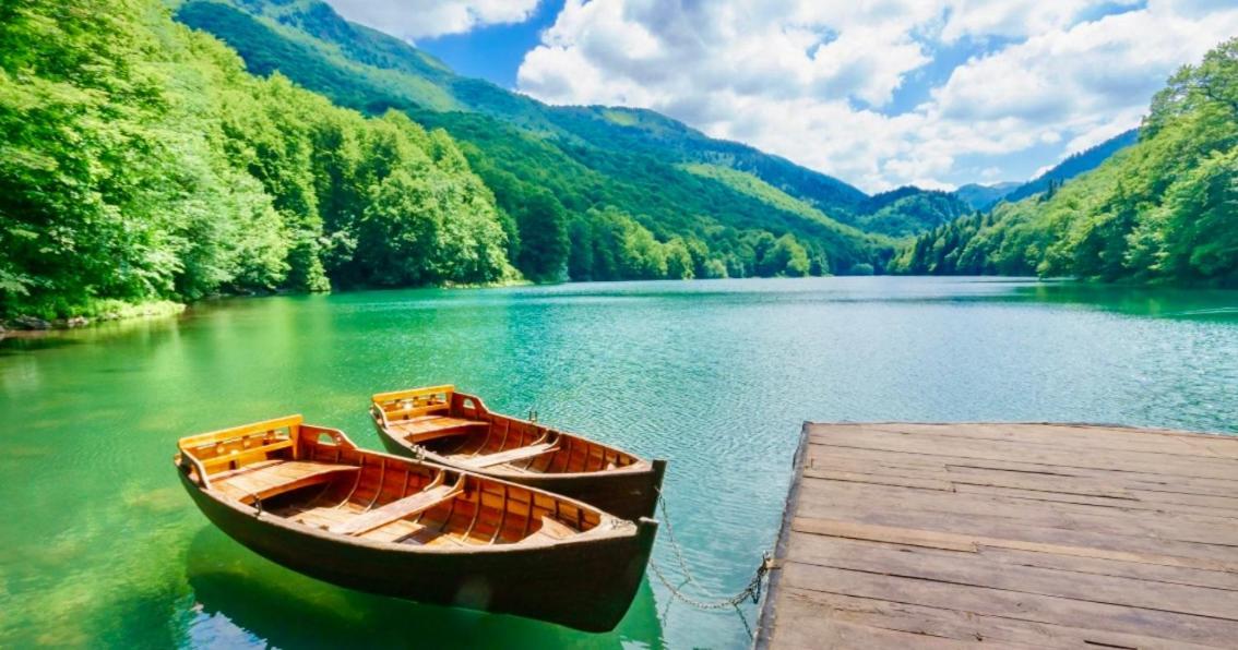 Waterfront Peace Villa Mojkovac Dış mekan fotoğraf